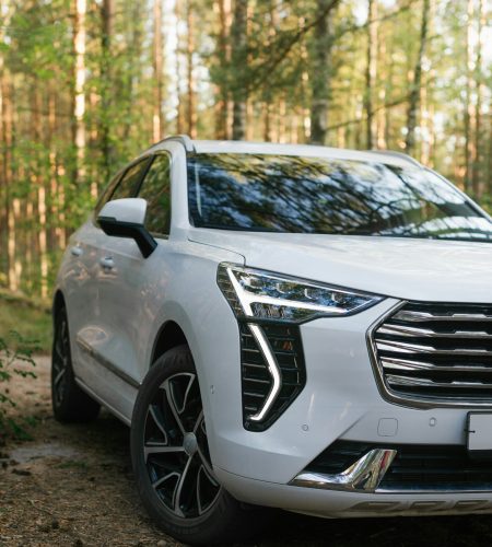 haval white side