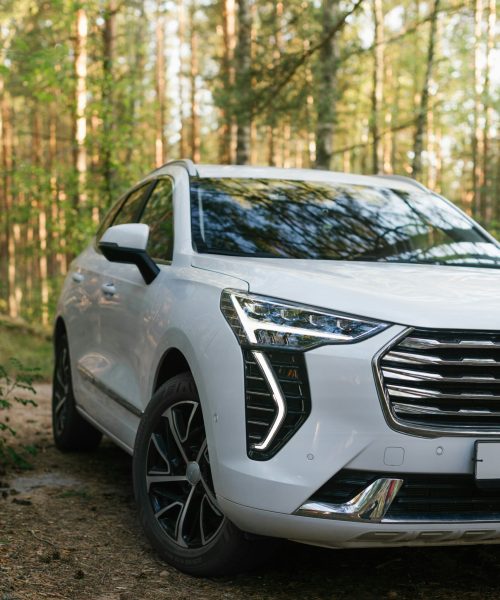 haval white side